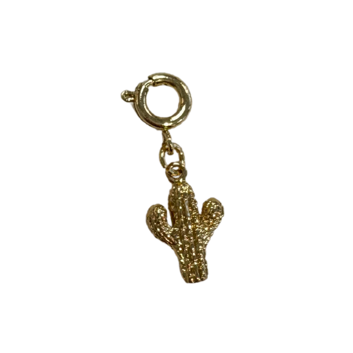 Cactus Charm