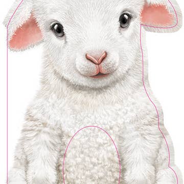 Furry Lamb Board Book