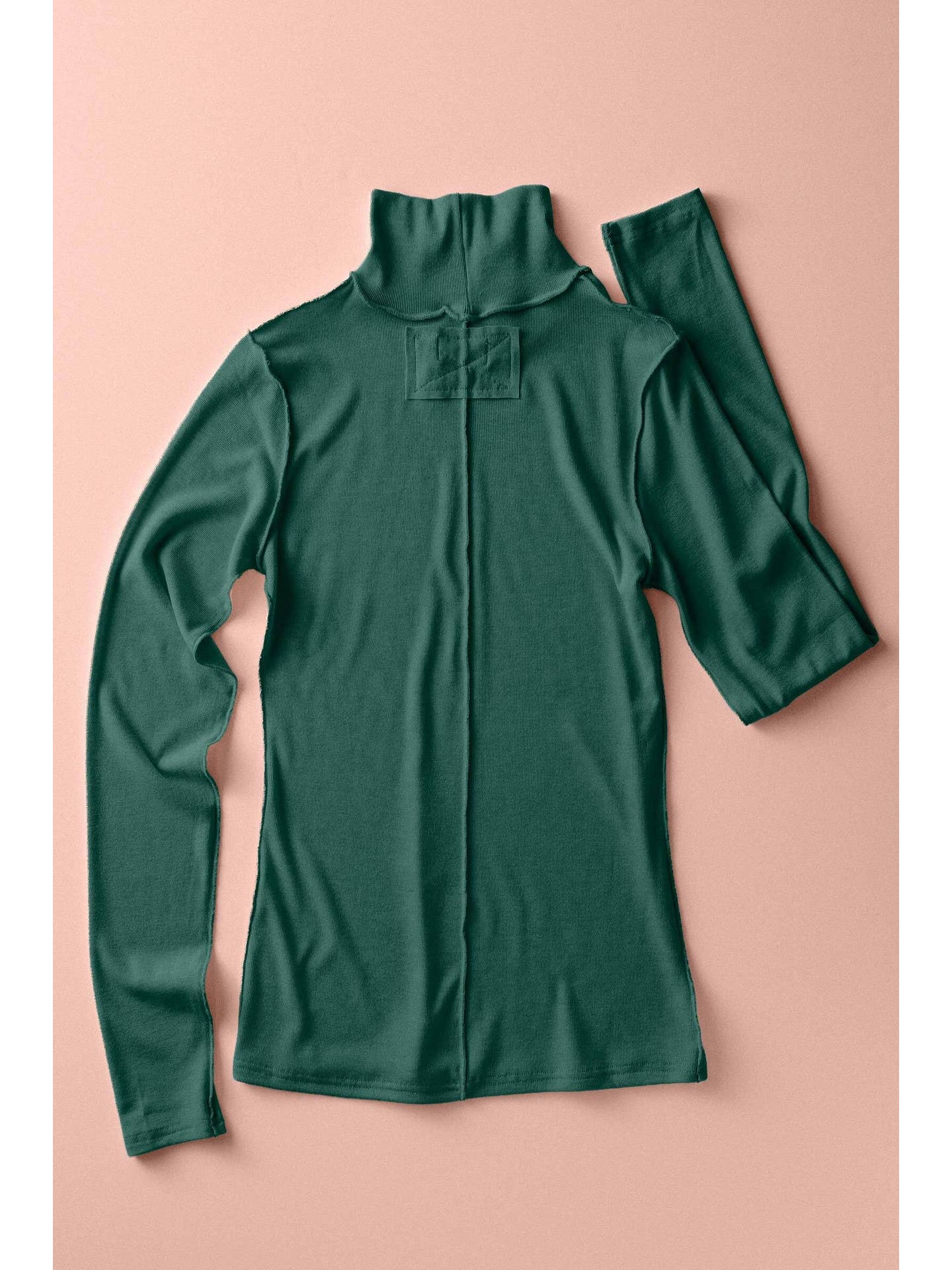 Contrast Seam Turtleneck Knit Top