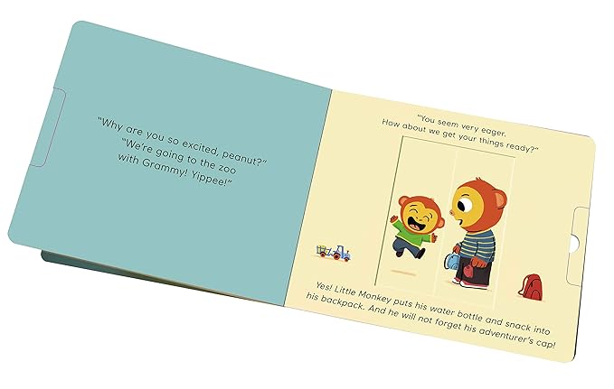 Feelings: A Pull-The-Tab Book