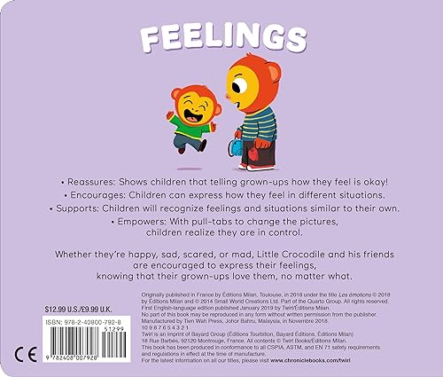 Feelings: A Pull-The-Tab Book