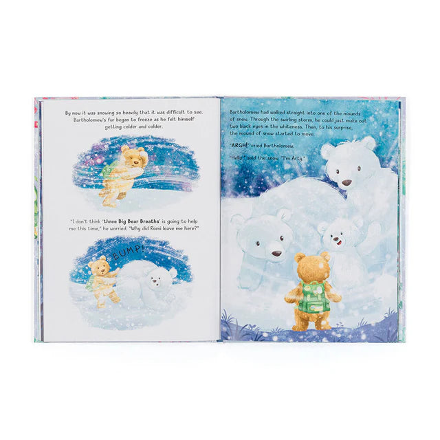 BARTHOLOMEW BEAR AND THE SNOW GIANTS BOOK