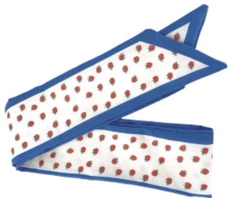 So Trendy Scarf Charm Necklace | Strawberries