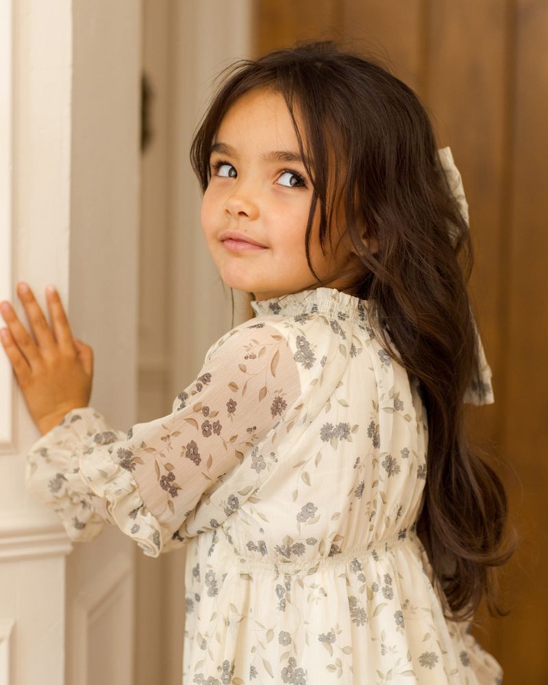 MIRABELLE DRESS || WINTER VINES