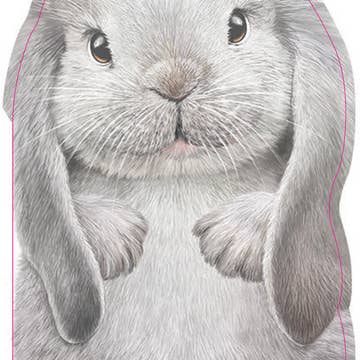 Furry Bunny Board Book