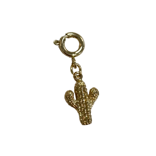 Cactus Charm