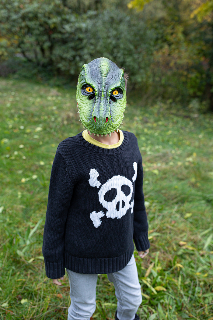 T-Rex Dino Mask – Magpies Mount Juliet