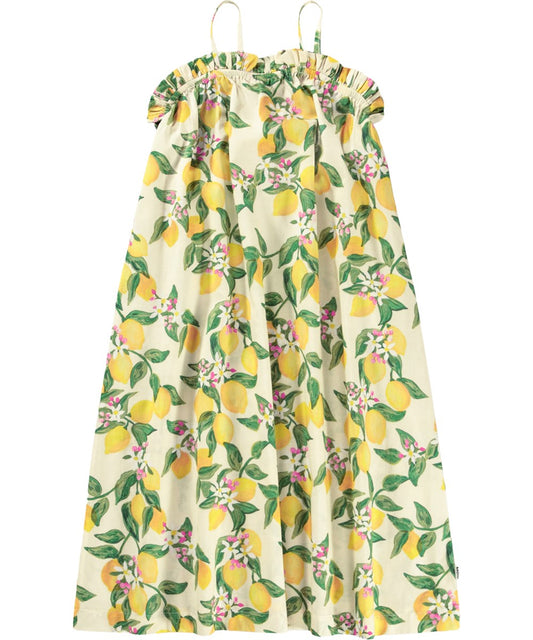 Connie Dress | Citrus