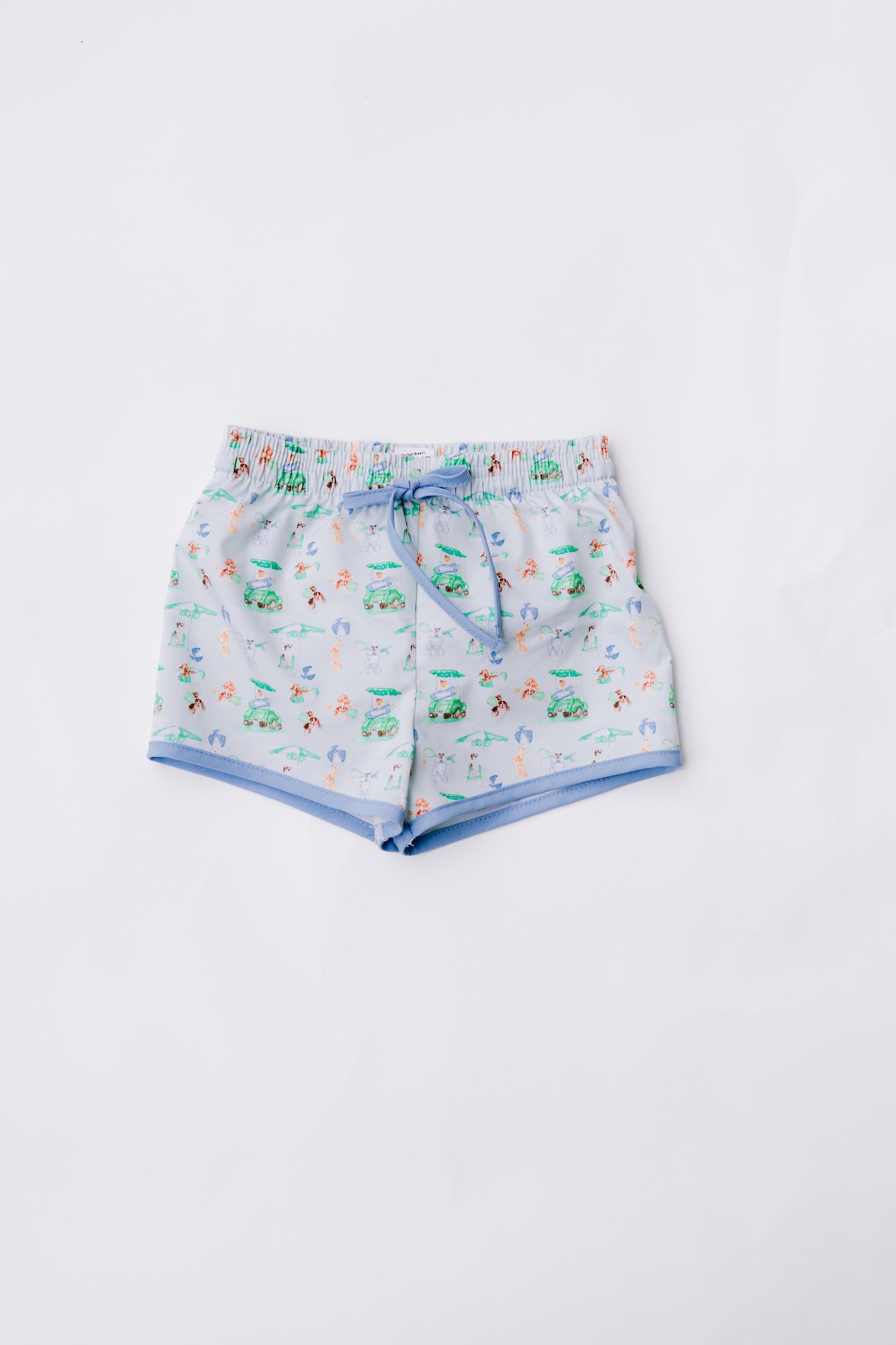 Dog Days of Summer Boys Swim Trunks