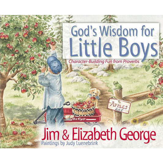 God's Wisdom For Little Boys