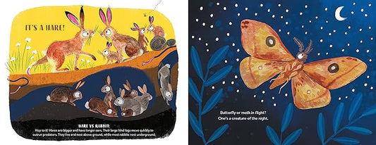 A Llama Is Not an Alpaca: And Other Mistaken Animal Identities