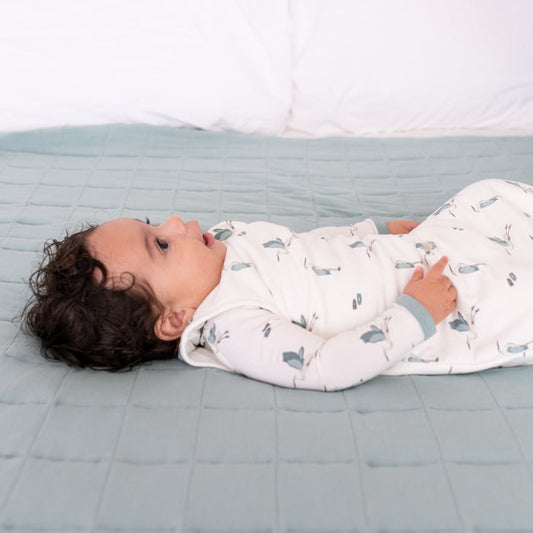 Sleep Bag | Blue Heron