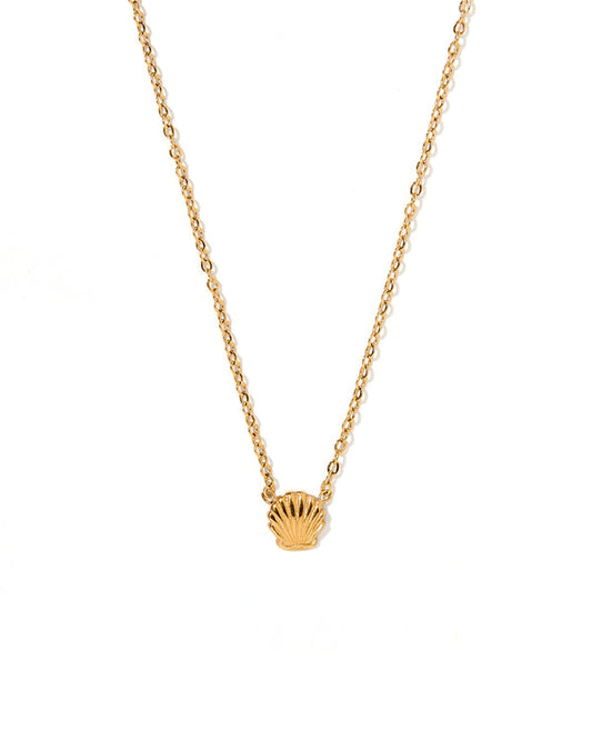 Marina Shell Necklace