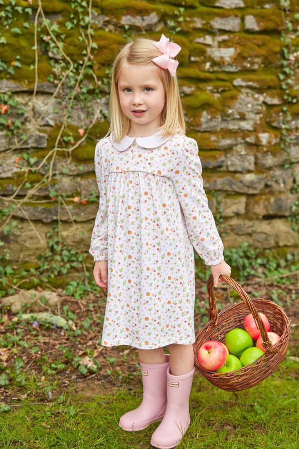 Evelyn Dress | Pumpkin Floral