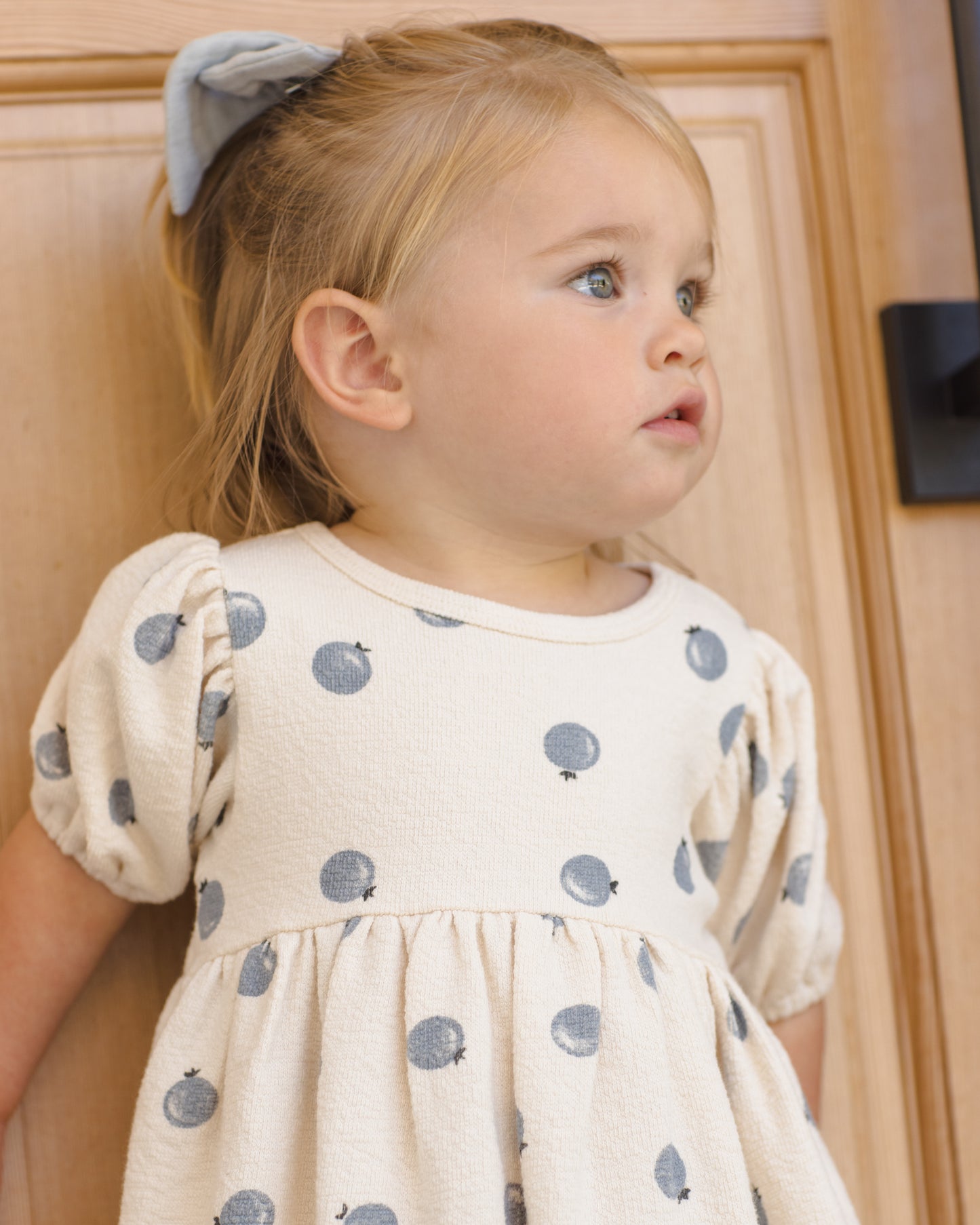 DARLA DRESS || BLUEBERRIES