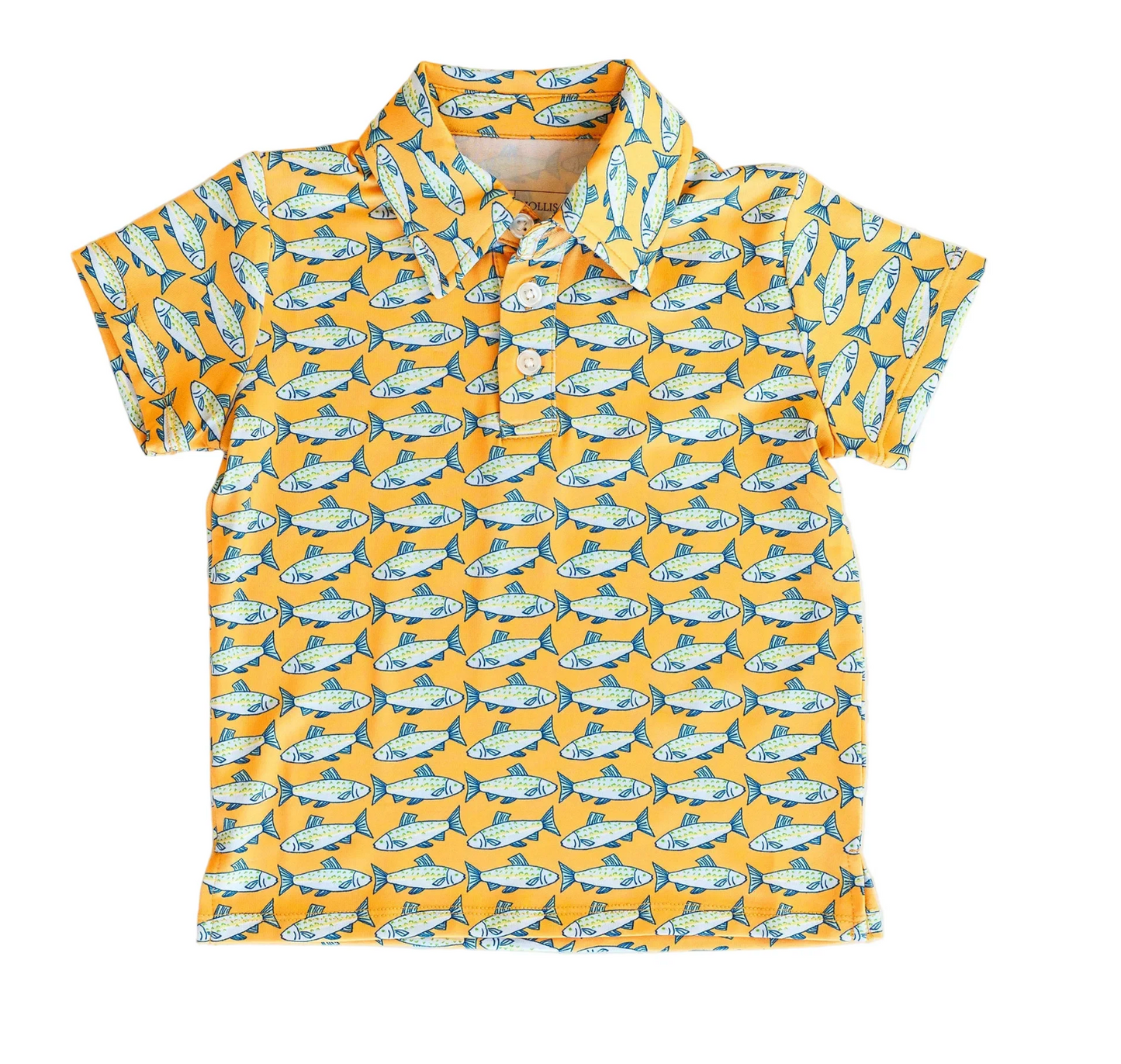 Kyle Polo | Almalfi Fish