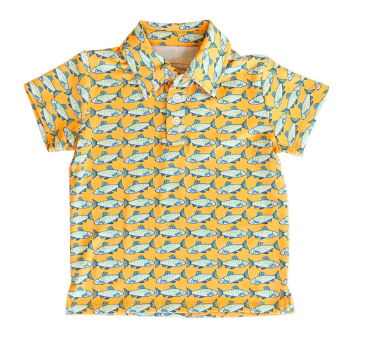 Kyle Polo | Almalfi Fish