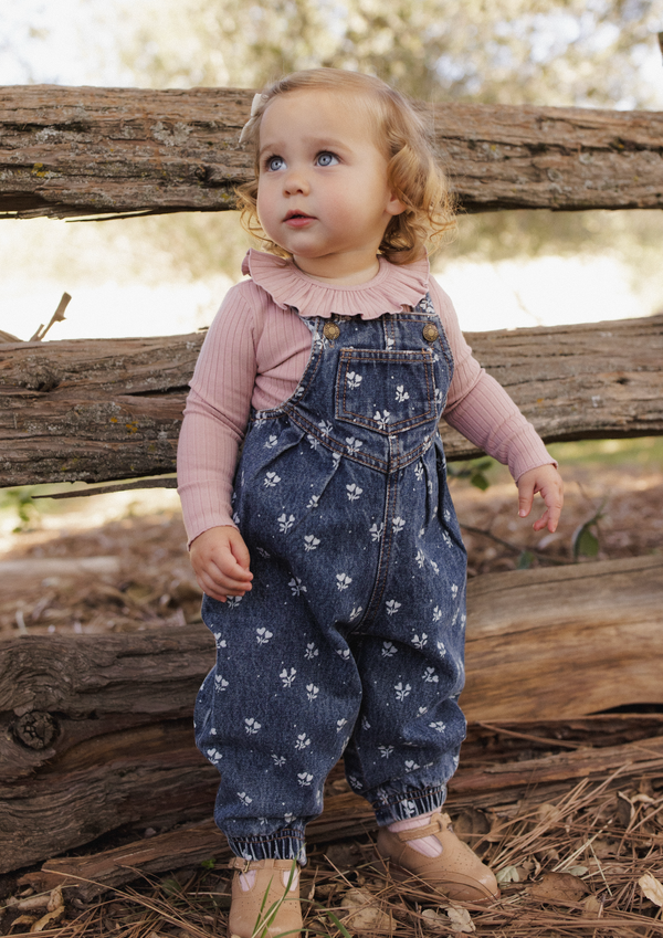 VINTAGE OVERALL || HEART DITSY