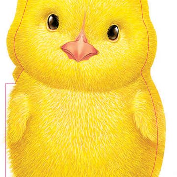 Furry Chick Board Book