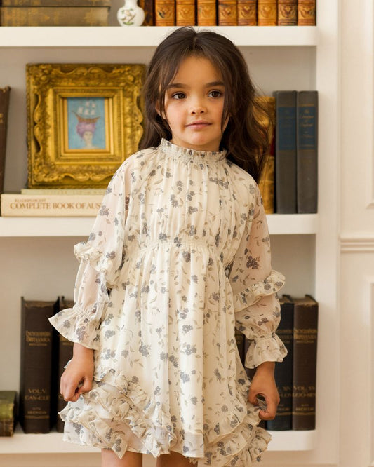 MIRABELLE DRESS || WINTER VINES