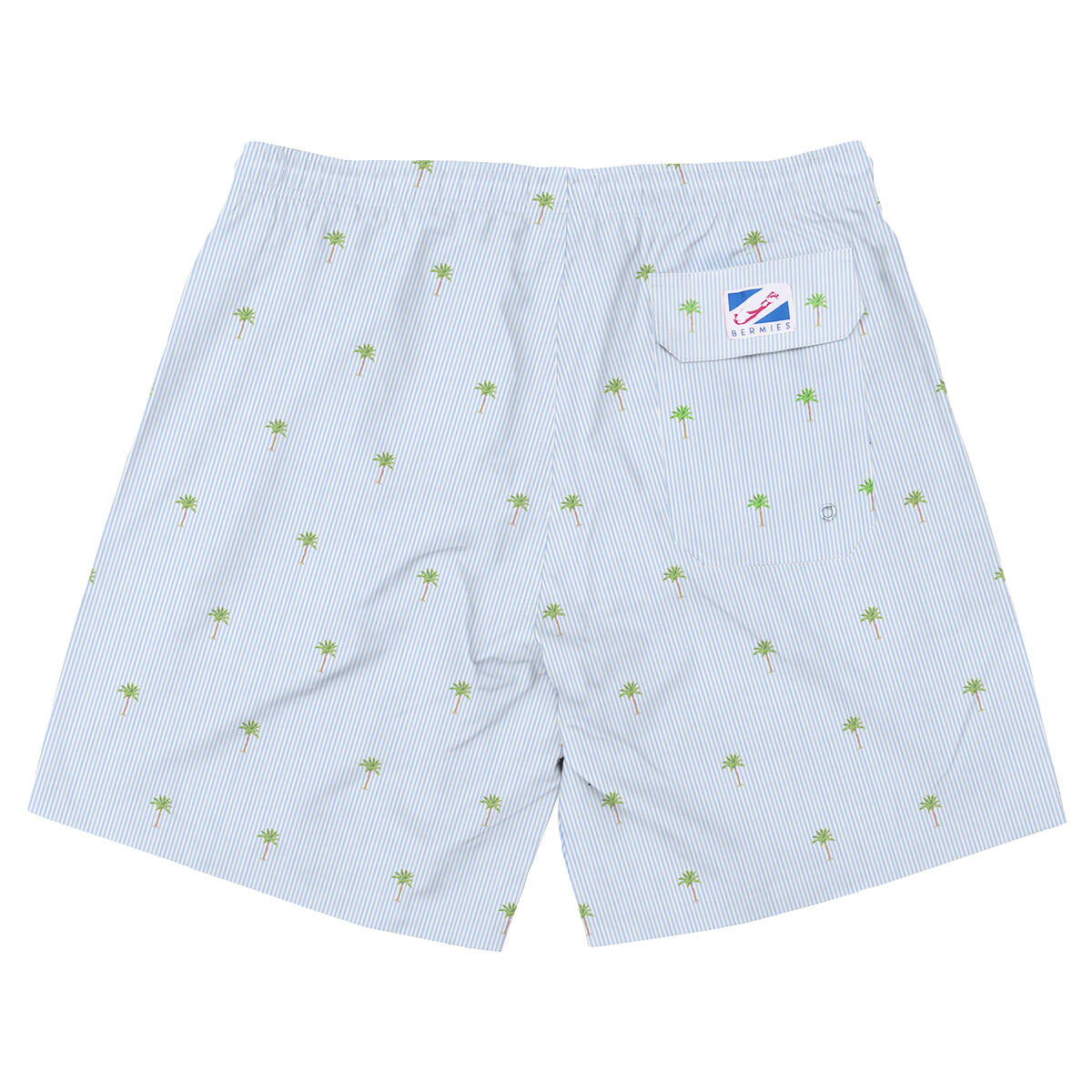 Mens Swim Trunk | Palm Stripe