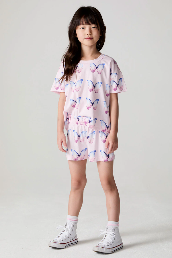 Flutter Butterfly Set