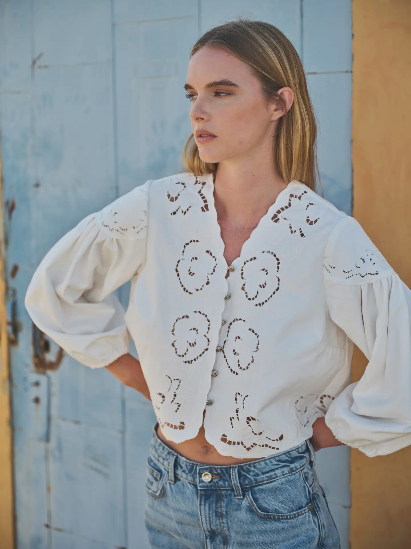 Embroidery Volume Sleeve Blouse Top