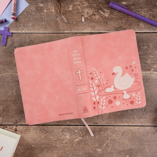 My First Real Bible (Girls' Cover) : King James Version