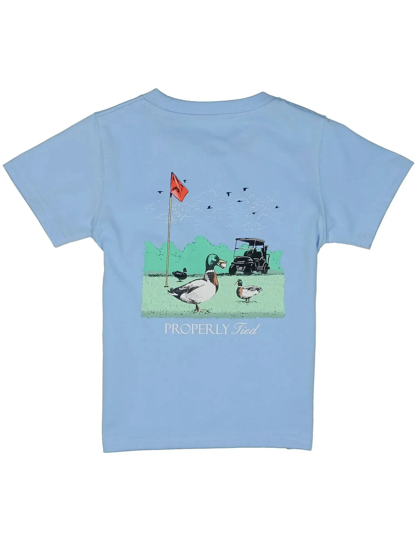 Boys Fowl Play SS Tee | Light Blue