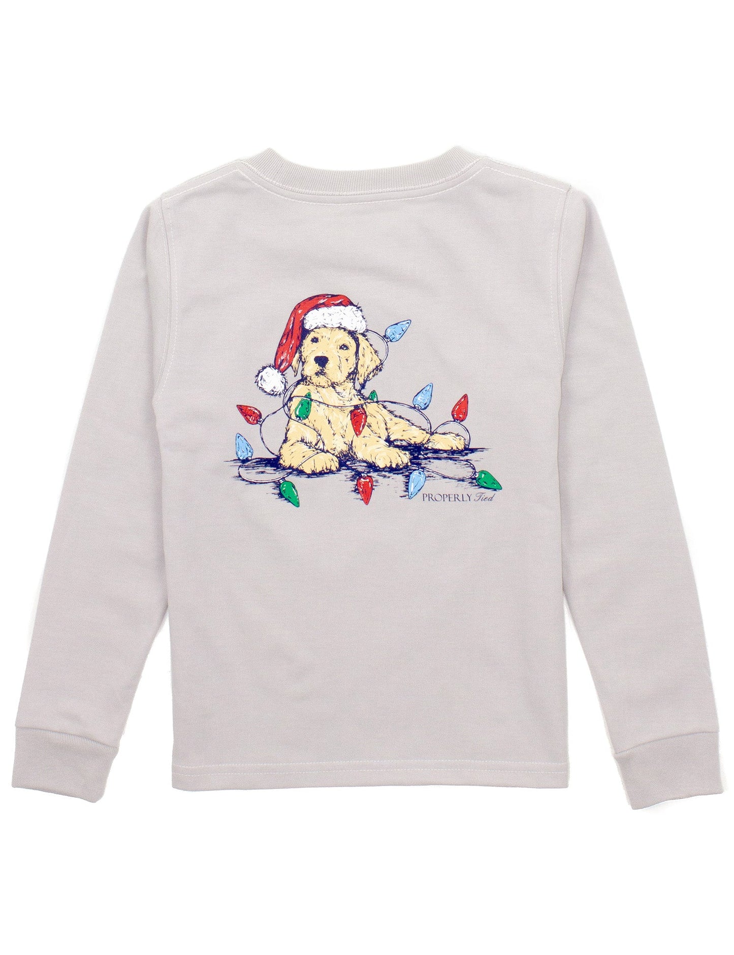 Boys Santa Paws LS | Ice Grey