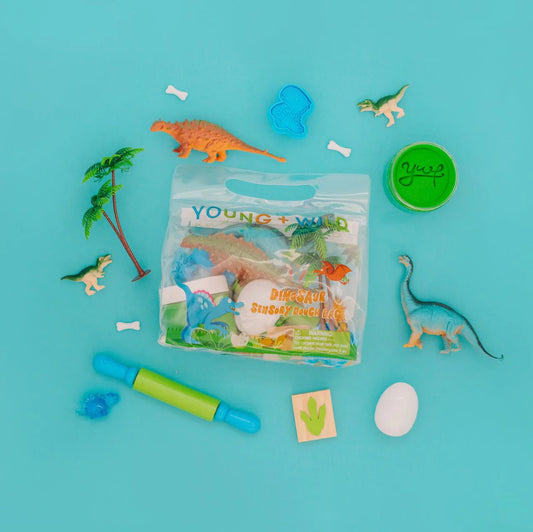 Dinosaur Sensory Dough Kit