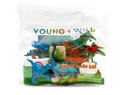 Dinosaur Sensory Dough Kit