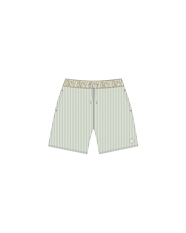 MEN'S BOARDSHORT | SAGE STRIPE