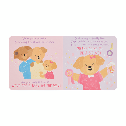 Sounds Like Big Sister Book